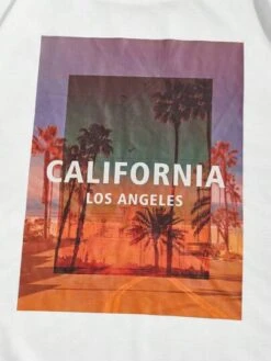 SHEIN Men Palm Tree & Letter Graphic Drop Shoulder Tee -Man Plus Fashion 16801418367478794e00ecc3e13a4b9669c03f02dd thumbnail 405x552